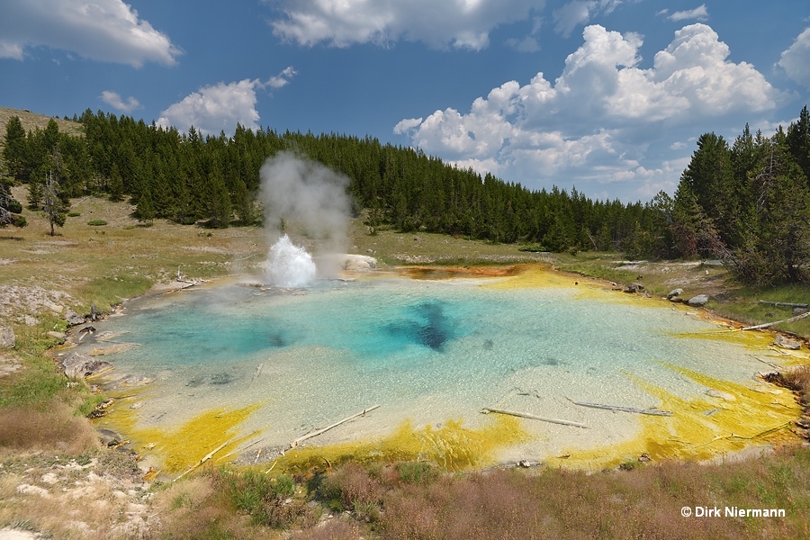 Imperial Geyser Yellowstone