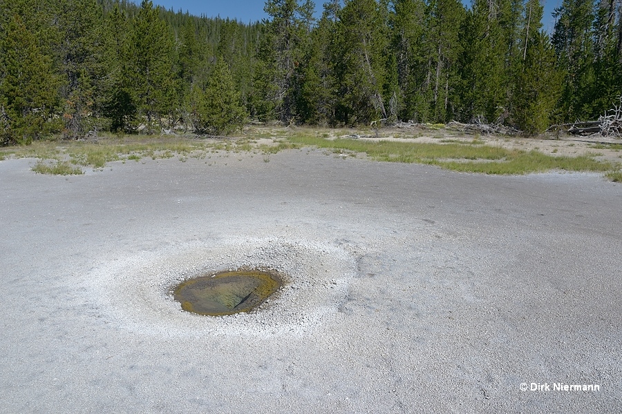 Lone Star Basin hot spring LSCGNN012 Yellowstone