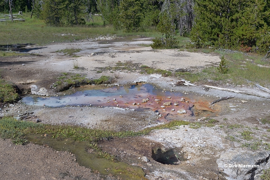 Lone Star Basin hot spring LSCGNN075 Yellowstone