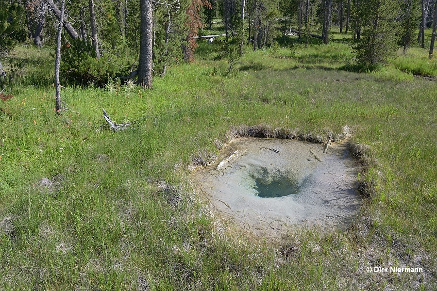 Lone Star Basin hot spring LSCGNN089 Yellowstone