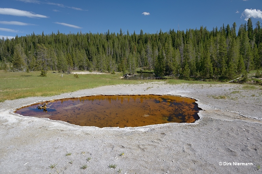Lone Star Pool Yellowstone