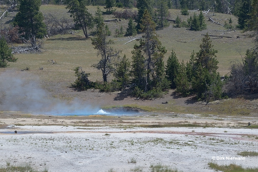 Catfish Geyser Yellowstone