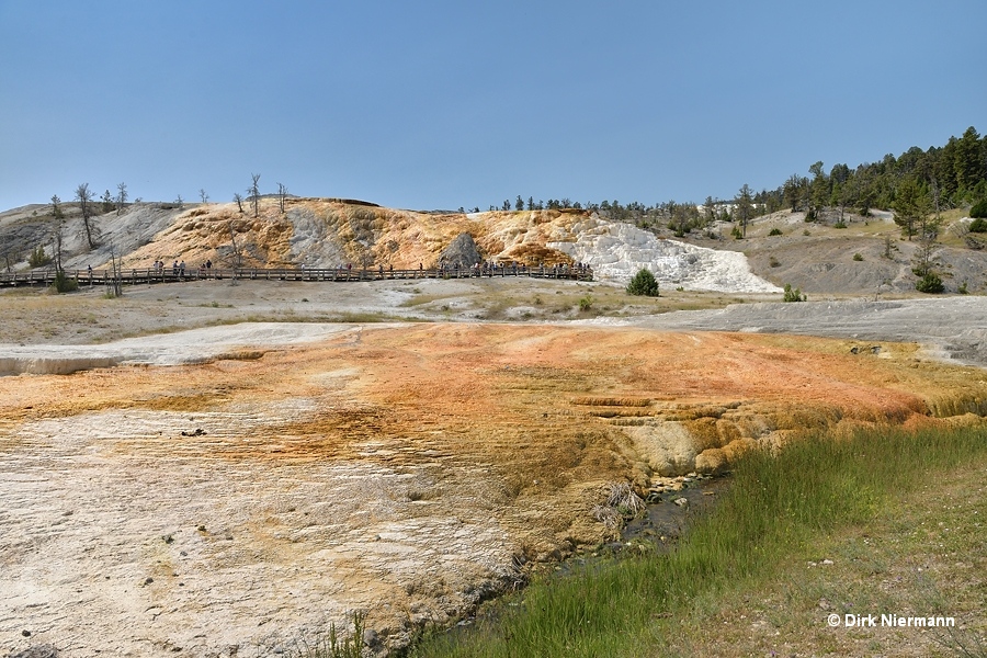 Hymen Terrace Mammoth Hot Springs Yellowstone