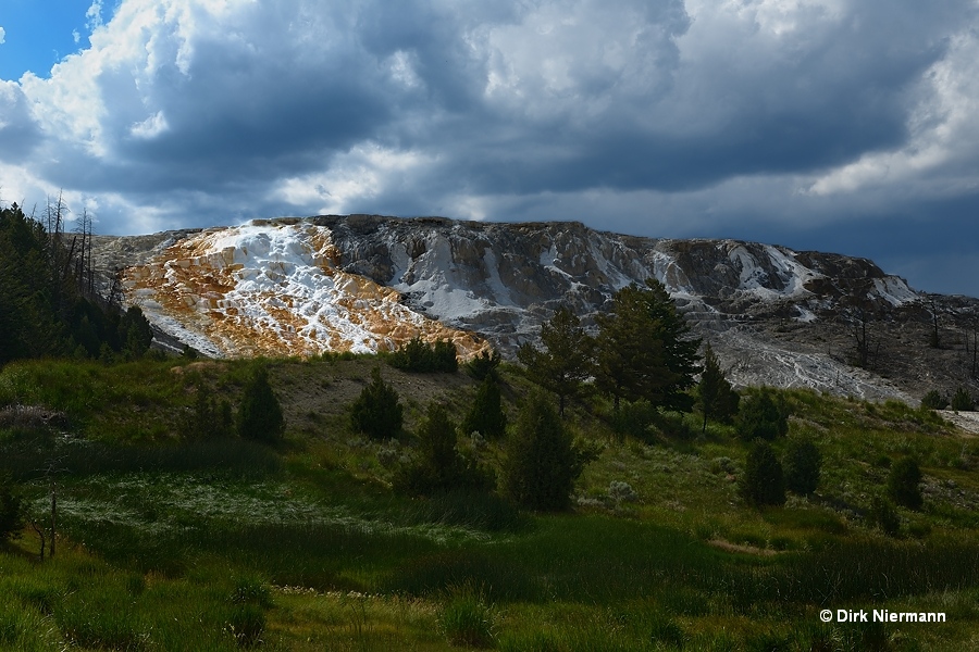 Main Terrace Mammoth Hot Springs Yellowstone