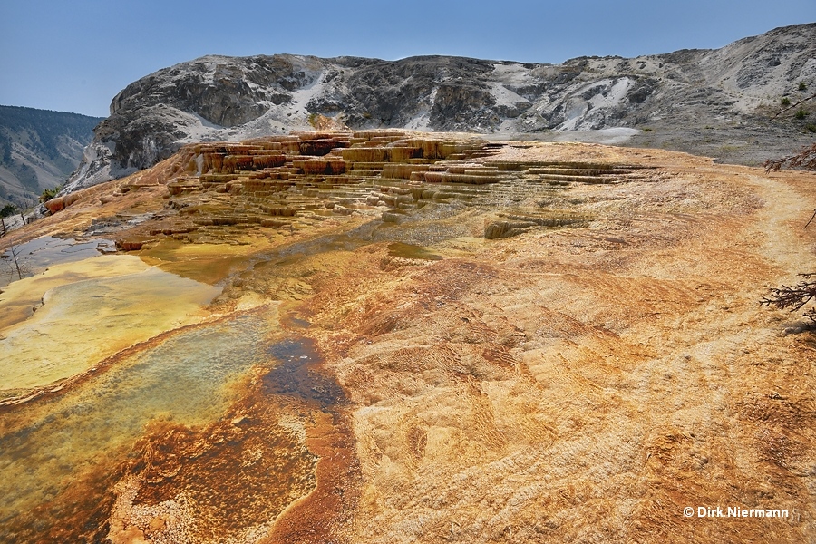 Mound Spring Mammoth Hot Springs Yellowstone