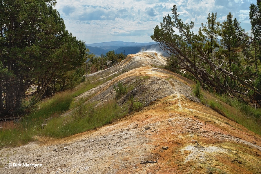 Narrow Gauge Terrace, Mammoth Hot Springs, Yellowstone