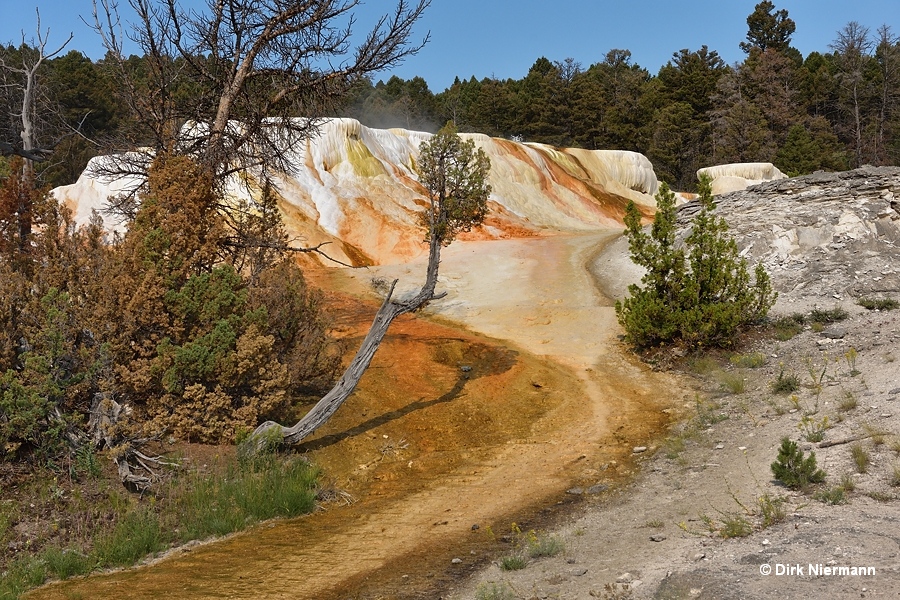 Narrow Gauge Terrace, Mammoth Hot Springs