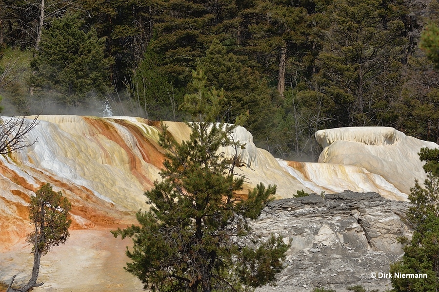 Spouter on Narrow Gauge Terrace, Mammoth Hot Springs, Yellowstone