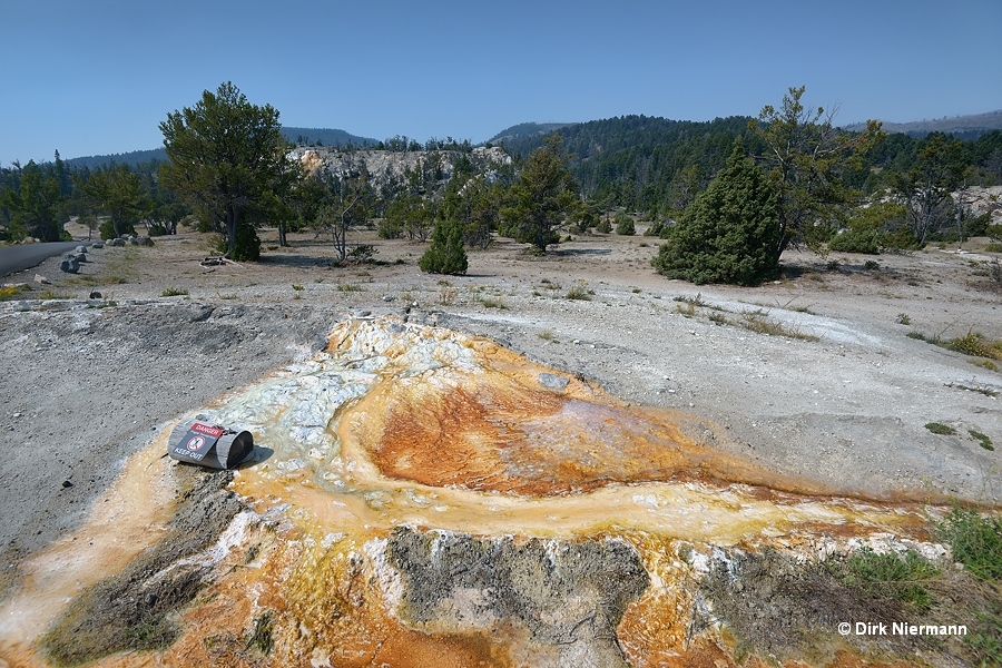 New Baby Spring Mammoth Hot Springs Yellowstone