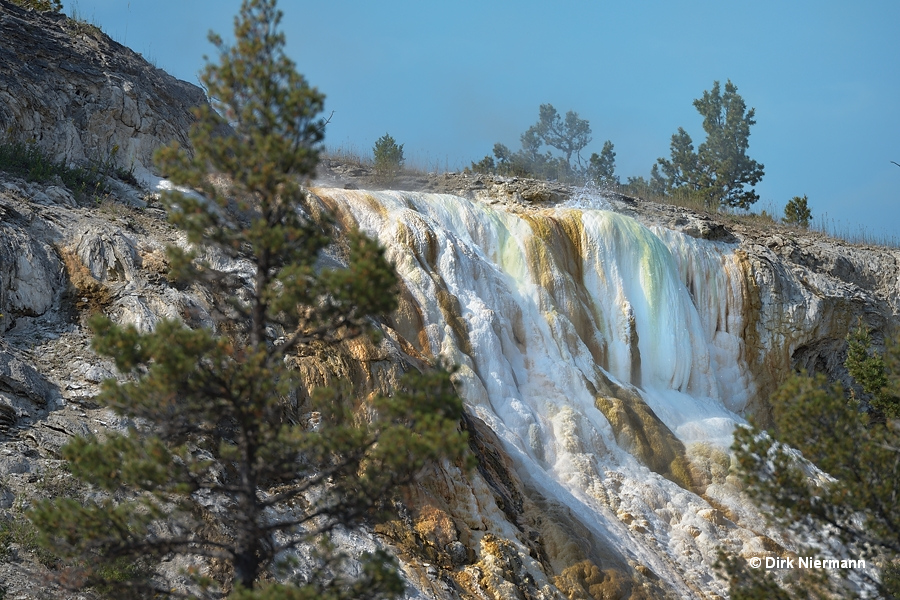 New Highland Spring,Mammoth Hot Springs Yellowstone