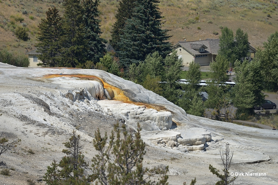 New Palette Spring Mammoth Hot Springs Yellowstone