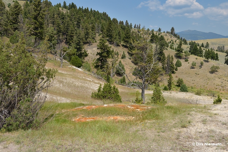 New Spring southwest of Palette Spring, Yellowstone