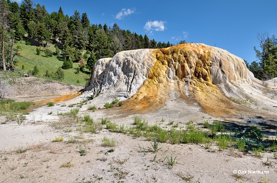 Orange Spring Mound, Mammoth Hot Springs, Yellowstone