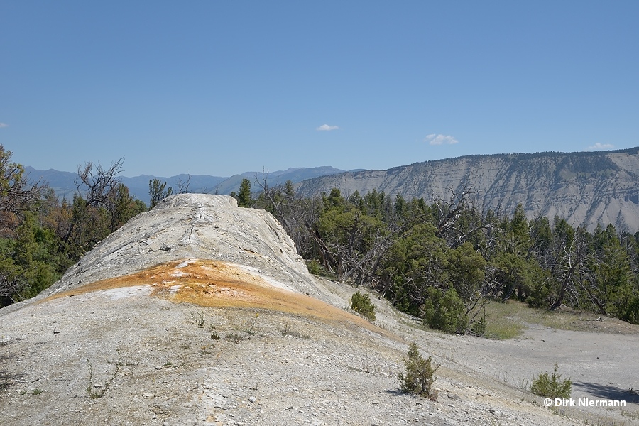 White Elephant Back Terrace, Mammoth Hot Springs, Yellowstone