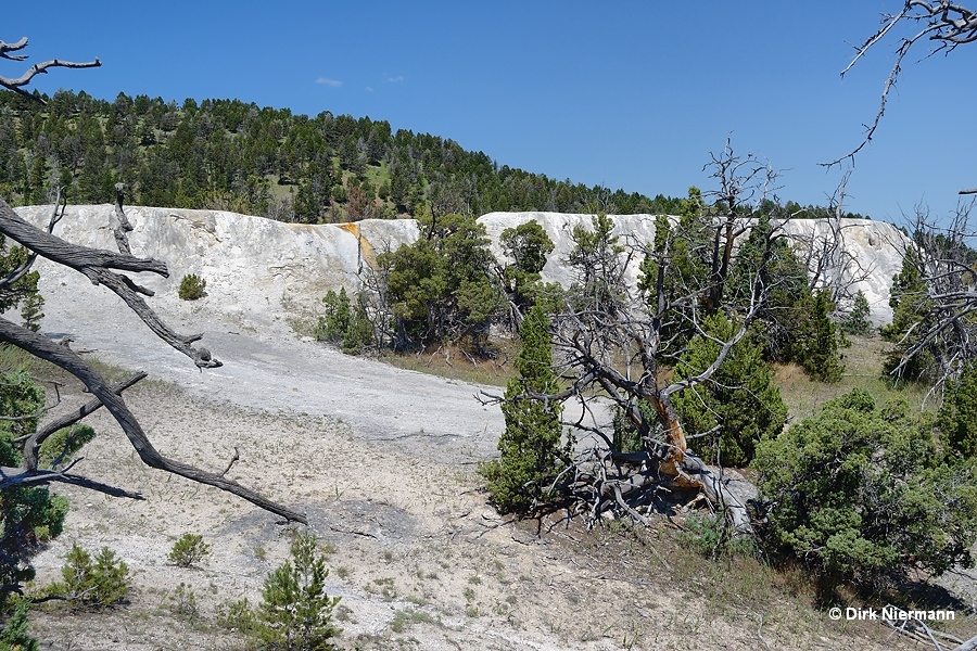 White Elephant Back Terrace, Mammoth Hot Springs, Yellowstone