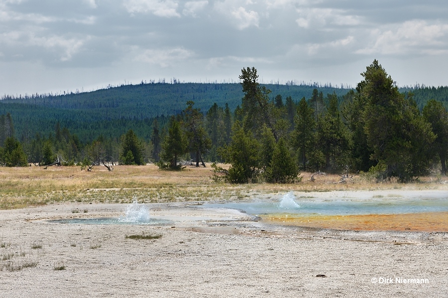 Concerted eruption of Little Brother Geyser and Three Crater Geyser