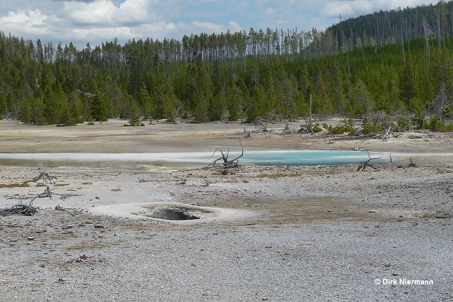 Area east of Pearl Geyser Yellowstone