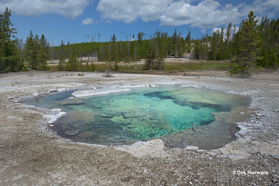 Crater Spring Yellowstone