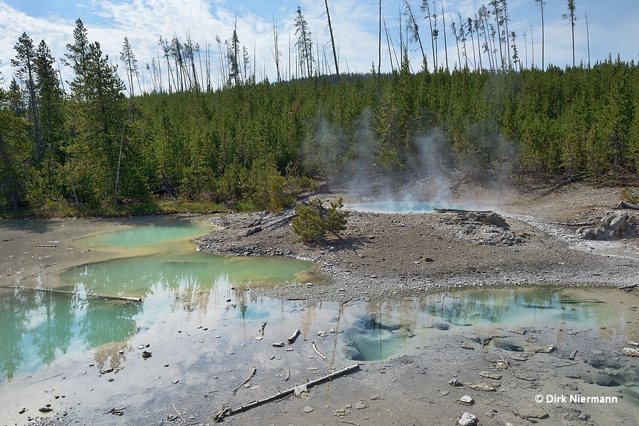 Dishwater Spring Yellowstone