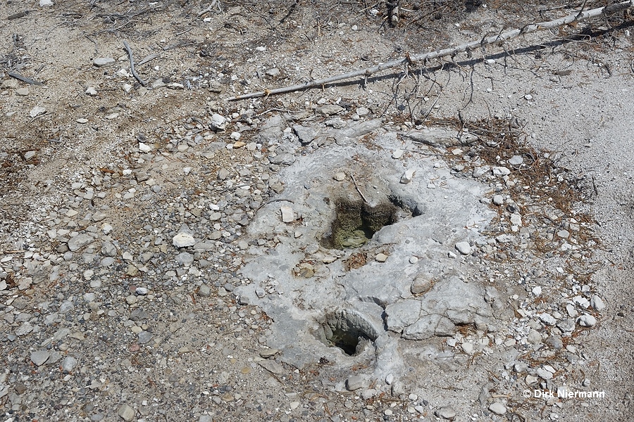 Dog's Leg Spring Yellowstone