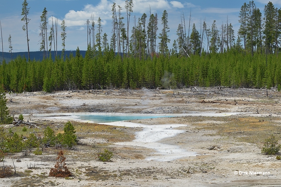 Hydrophane Springs Yellowstone