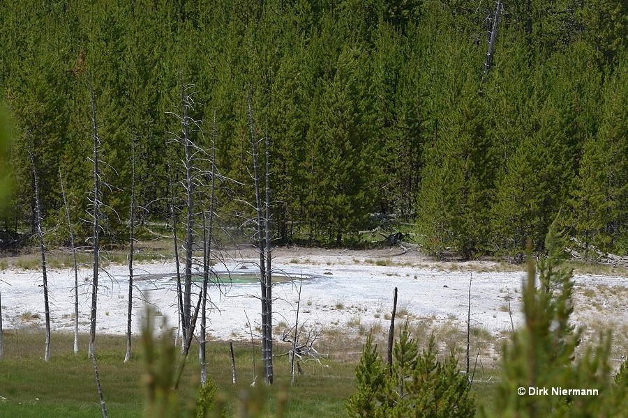 Medusa Spring Yellowstone