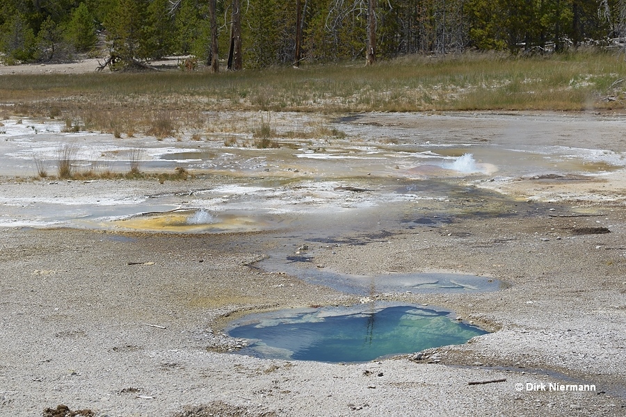 Norris Sinks Yellowstone