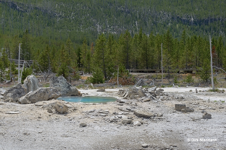 Porkchop Geyser Yellowstone