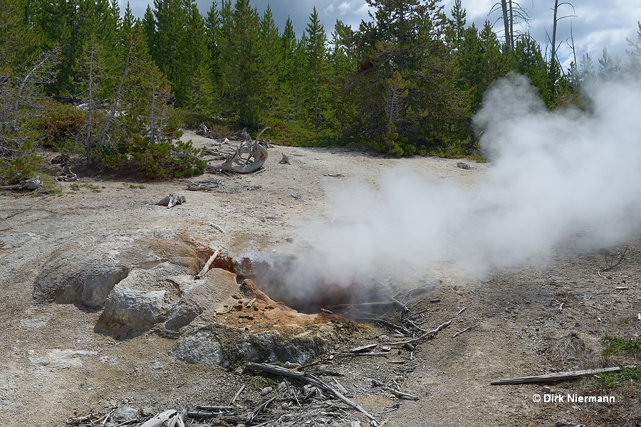 Puff-n-Stuff Geyser Yellowstone