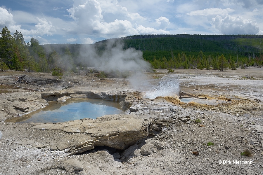 Veteran Geyser Yellowstone