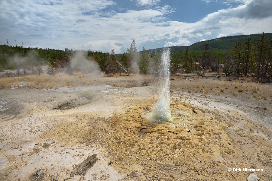 Vixen Geyser Yellowstone