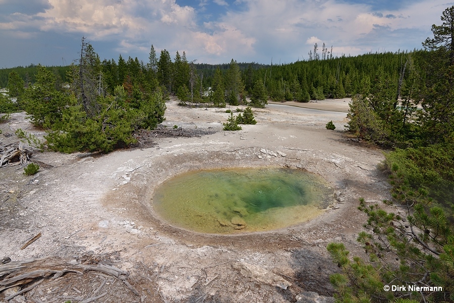 Yellow Funnel Spring Yellowstone