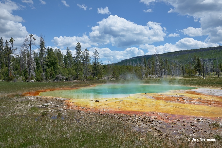 Big Blue Spring, Norris Basin Elk Park Yellowstone