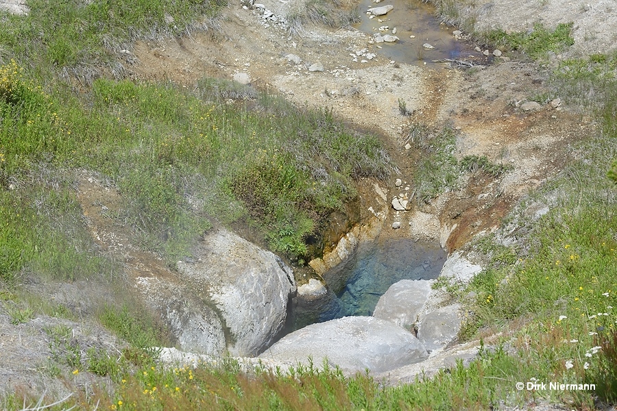 Basin Geyser Yellowstone