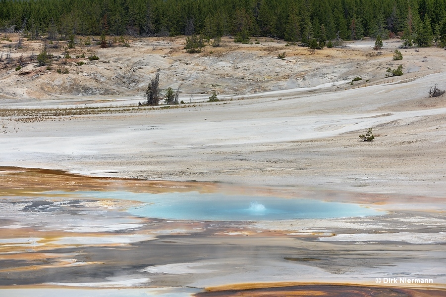 Geyser Norris Porcelain Basin