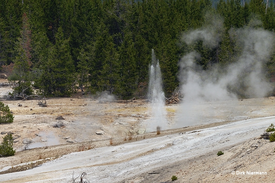 Collapsed Cave Geyser, Norris Porcelain Basin