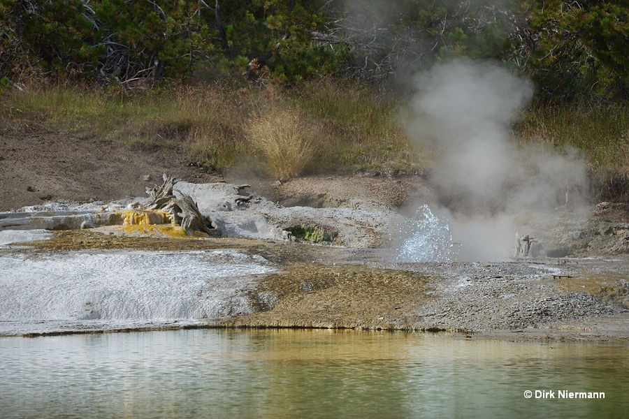 Crackling Spring Yellowstone