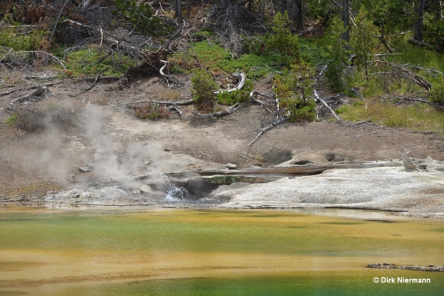Crackling Spring Yellowstone