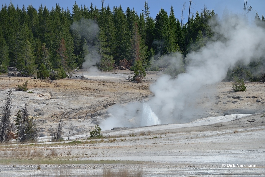 Graceful Geyser, Norris Porcelain Basin