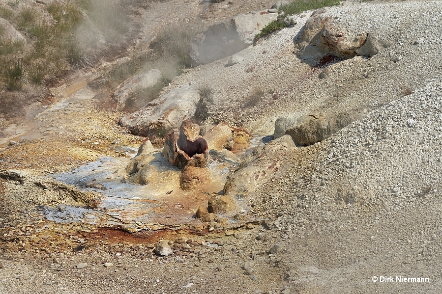 Guardian Geyser Yellowstone