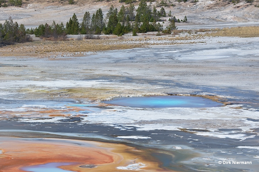 Iris Spring and Blue Geyser Yellowstone
