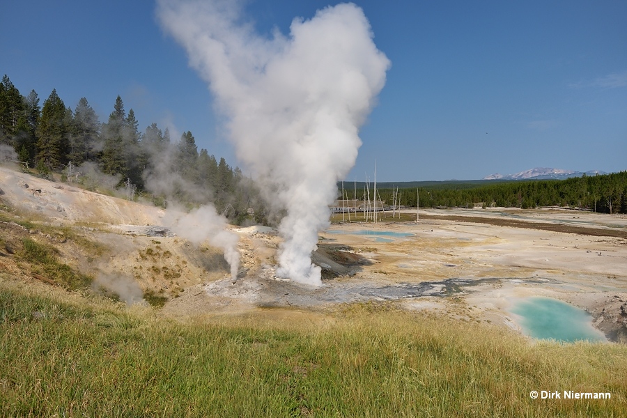 Ledge Geyser Yellowstone