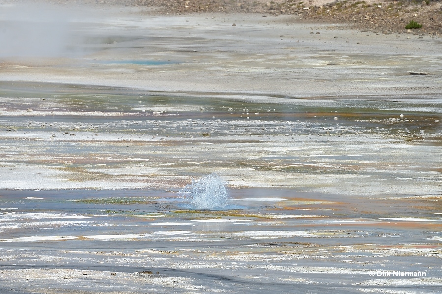 Geyser Norris Porcelain Basin
