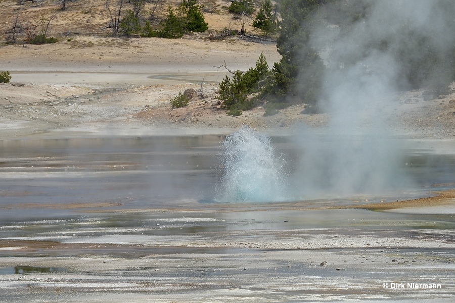 Geyser Norris Porcelain Basin