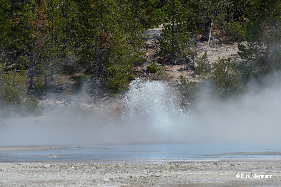 Geyser Norris Porcelain Basin