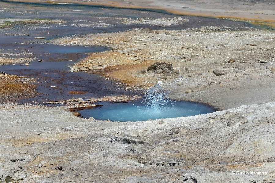 Primrose Spring, Yellowstone