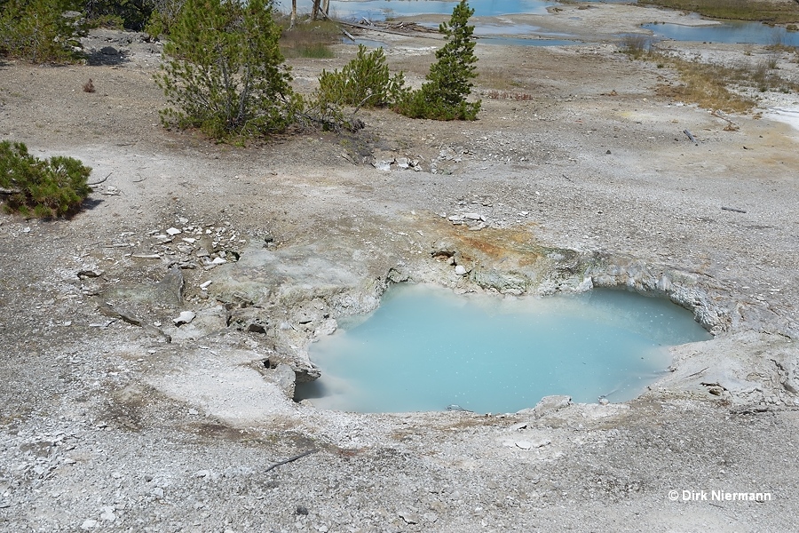 Teal Blue Bubbler Yellowstone