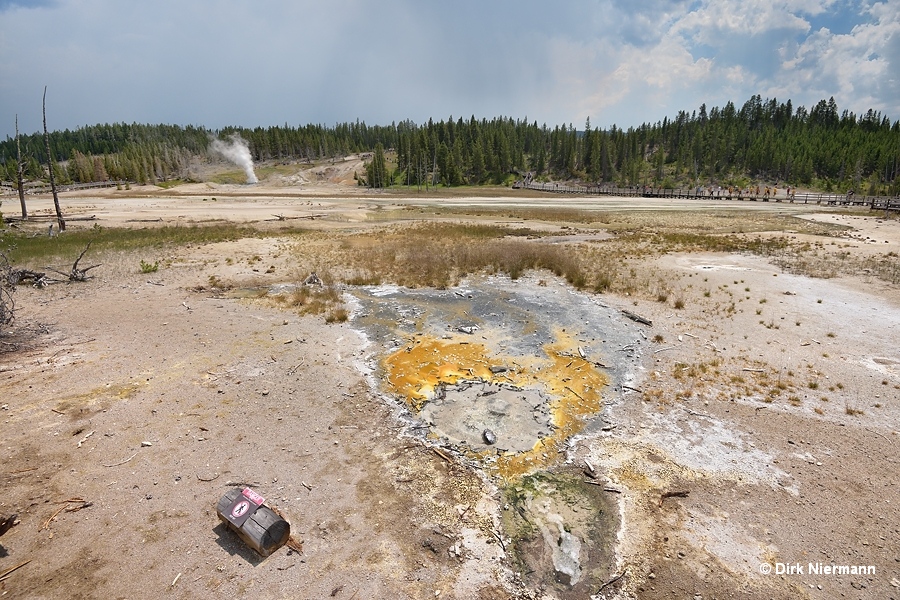 "Trinket Geyser" (UNNG-NPR-8), Yellowstone