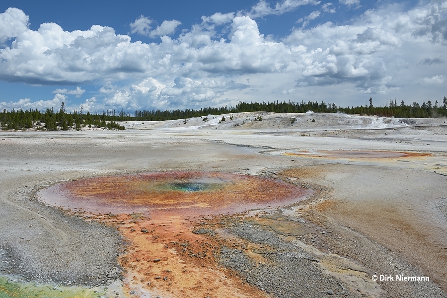 Whirligig Geyser Yellowstone