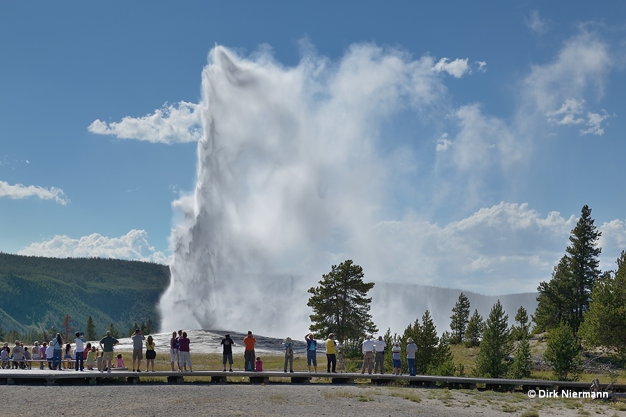 Old Faithful Geyser Yellowstone